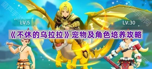 《不休的乌拉拉》宠物及角色培养攻略