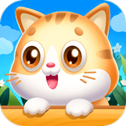 猫咪小屋