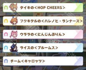 队名选项