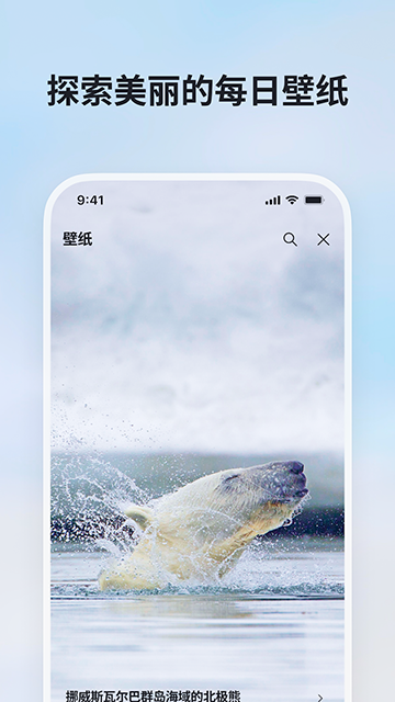 必应bing国际版