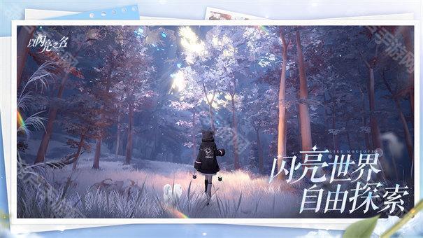 以闪亮之名