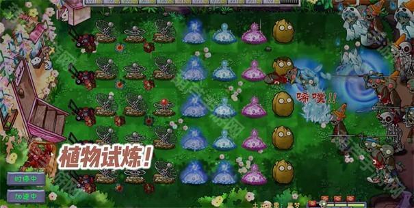 植物大戰僵屍共生版1.0.3