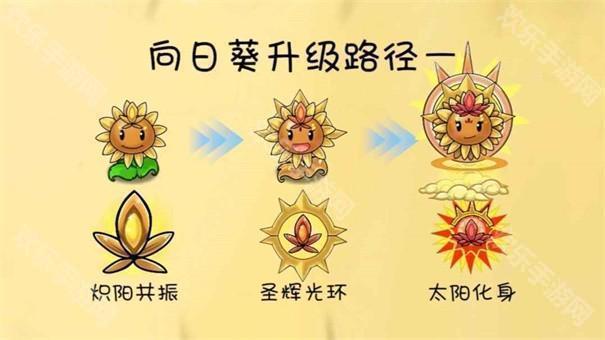 植物大戰僵屍共生版