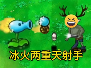 植物大戰僵屍逆天版