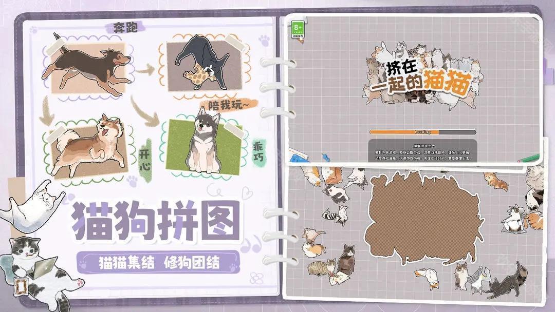 擠在一起的貓貓