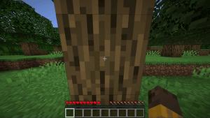 minecraft1.21.110.26