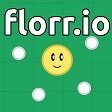 florrio中文版