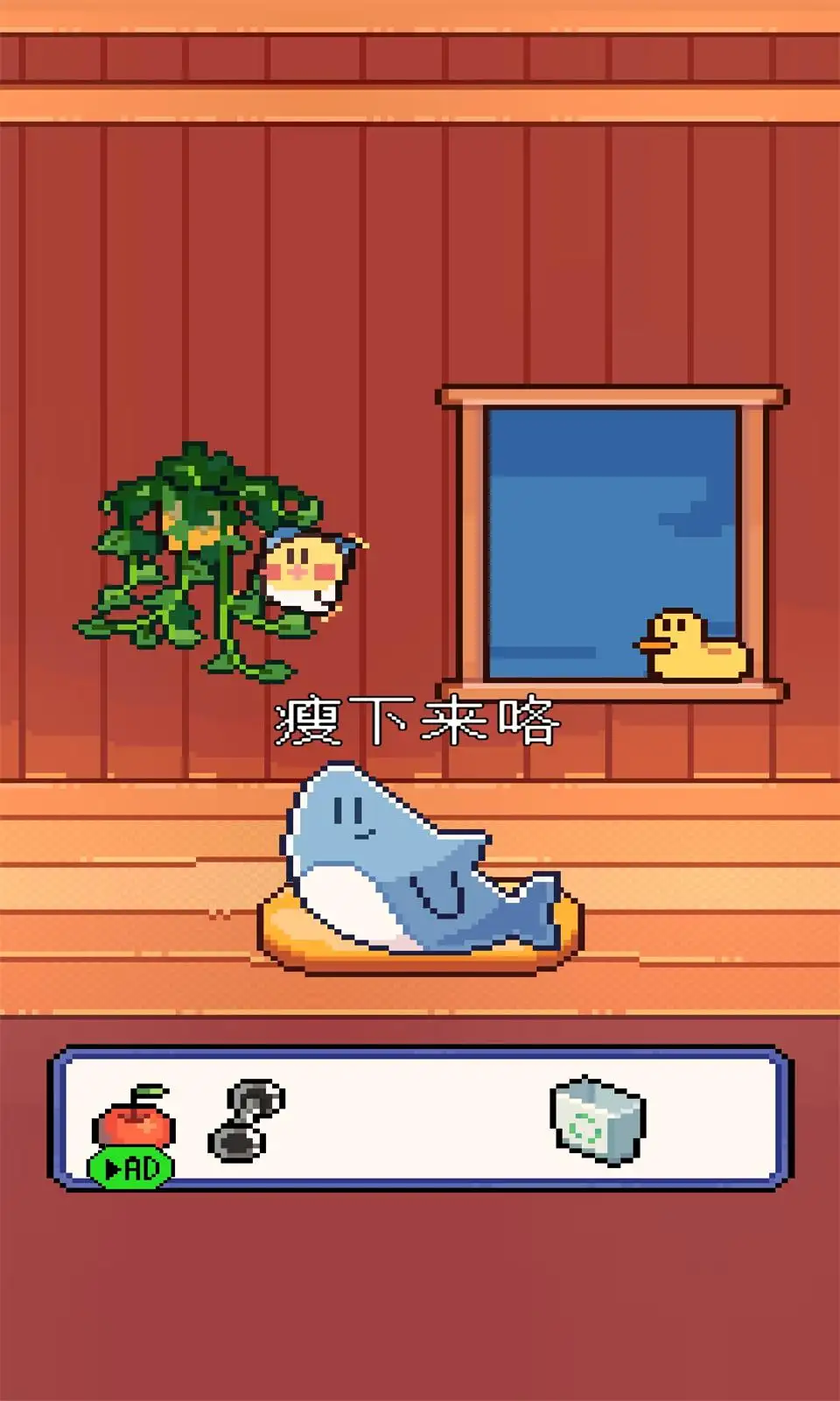 我的小鲨魚