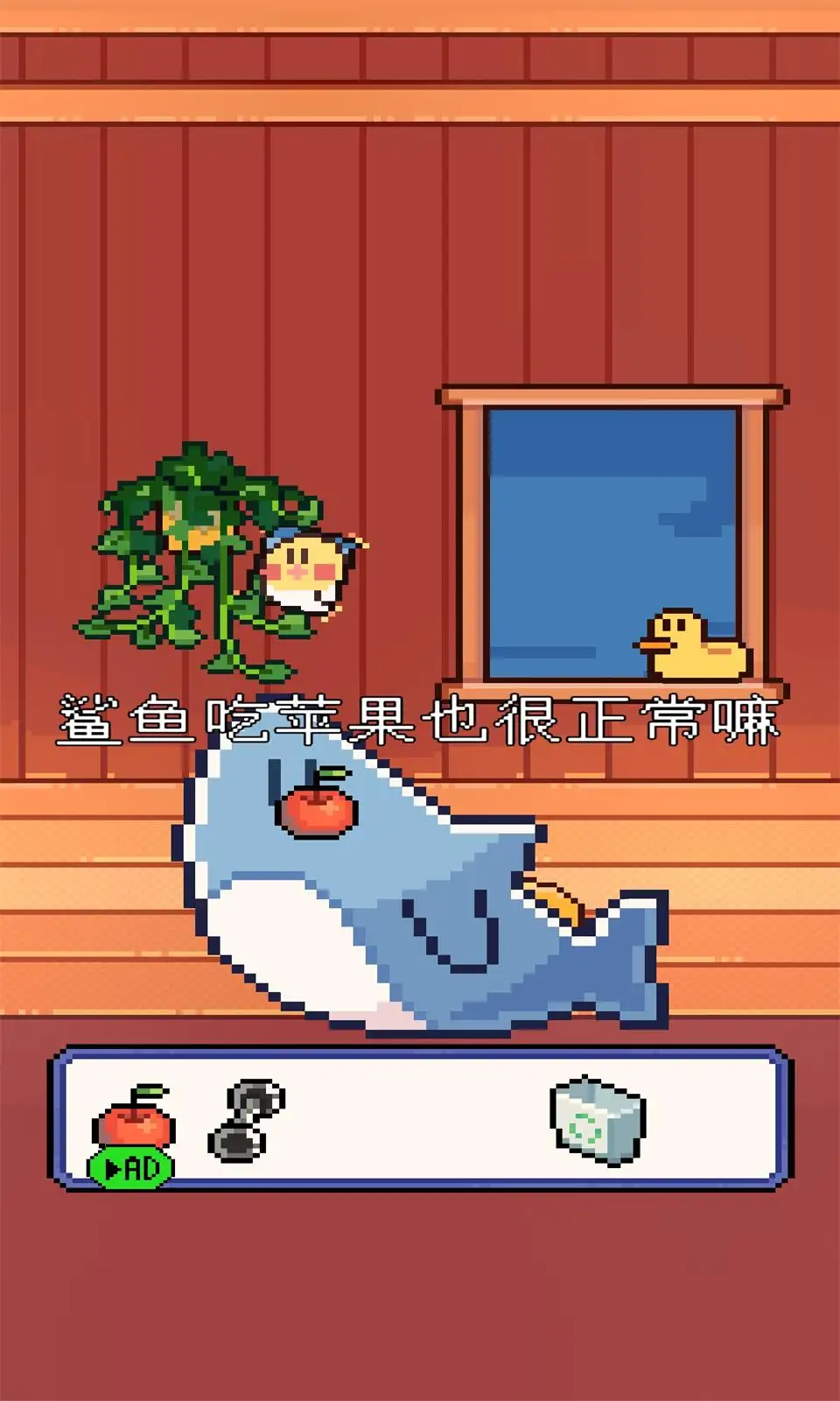 我的小鲨魚