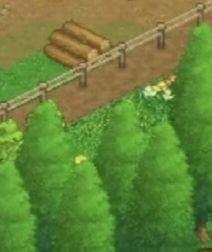 王都创世录游戏截图5