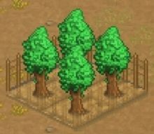 王都创世录游戏截图4